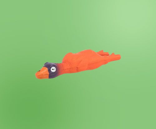 �'�� ������� (C�����)