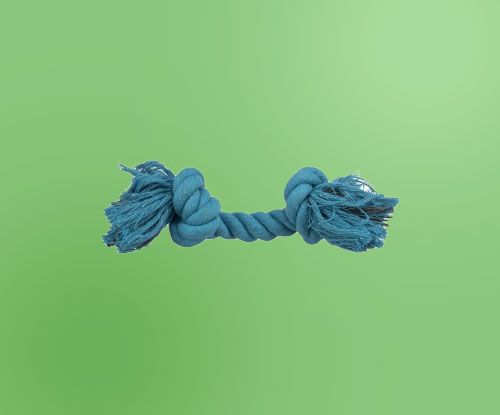 ������ (������)
