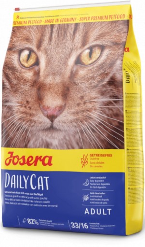    DAILYICAT 2 