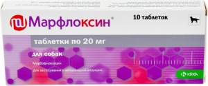 ���������� ��� 20�� �10