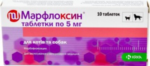���������� ��� 5�� �10