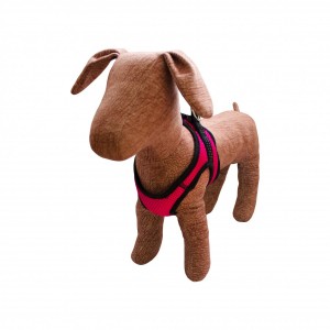 ��������� � ���� �������� �4 ������� 37-39��/42-44��, Lucky Pet