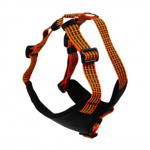 ��������� ̳�� �����-������������ 32-48��/40-50, Lucky Pet