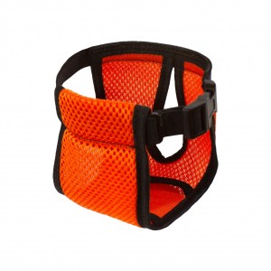 ����� �㳺����� ��� �����, ����� S, ����������, (33��-36��). Lucky Pet