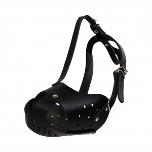 ��������� ������� ��������� ����� (28��/9��) ������, Lucky Pet