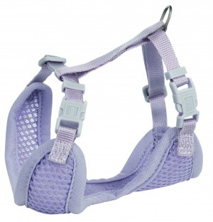 ���� � ������� Trixie ��� ������� S�M 26�34 �� � 10 �� 2,00 � �����-��������