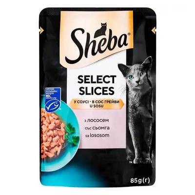 ������� ���� ��� ������� SHEBA � ������ � ���� 85�