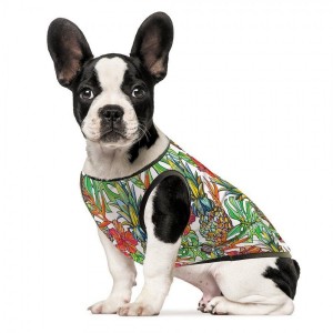 �������� Pet Fashion �г� ��� �����, ����� S, �����