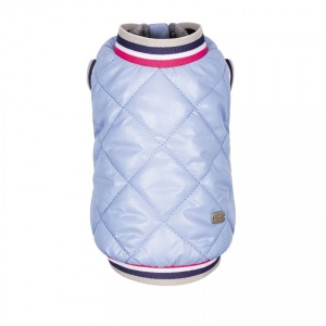 ������ Pet Fashion �Spike� ��� �����, ����� S, ���������