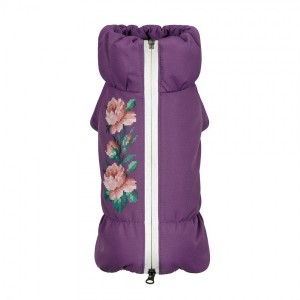 ������ Pet Fashion Lola ��� �������, ����� XS, ��������