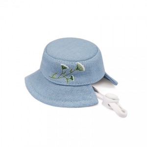 ������ Pet Fashion ��� ����� Blue XS � �������� �������