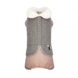 ������ ������� Pet Fashion Twiddy � ��� �����