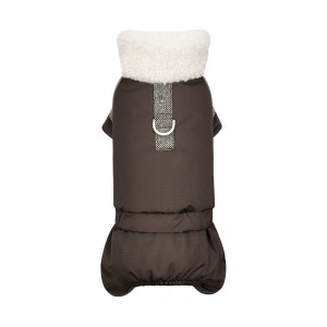 ������ Pet Fashion Locky S2 ��� �����