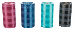  Trixie    , ,  M, 420 ( )