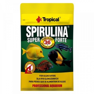 ����� ���� Tropical Super Spirulina Forte ��� ���������� ��������� ���, 12 � (��������)