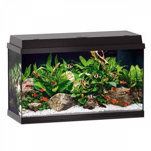 ������� Juwel ������ Primo 110 LED, 81�45�36 ��, 110 �