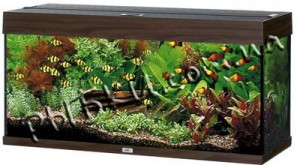 ������� Juwel ������ Rio 125 LED, 81�50�36 ��, 125 �
