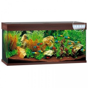 ������� Juwel ������ Rio 180 LED, 101�50�41 ��, 180 �