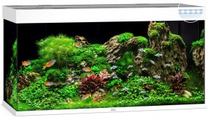 ������� Juwel ������ Rio 350 LED, 121�66�51 ��, 350 �