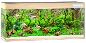 ������� Juwel ������ RIO 240 LED, 121�55�41��, 240 �
