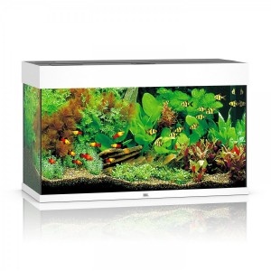 ������� Juwel ������ Rio 125 LED, 81�50�36 ��, 125 �