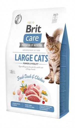 ����� ���� Brit Care Cat GF Large Power & Vitality ��� ���� ������� ����, ����� �� �����, 2 ��