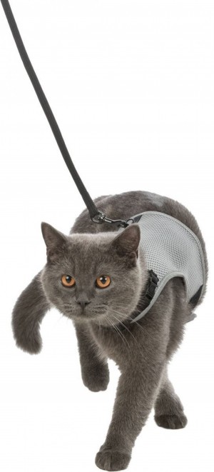 ������ � ������� Trixie Xcat ��� ����, ������, 24-42 ��
