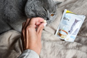 ³����������� ������ ��� ���� GimCat MilkBits � �������, 40 �