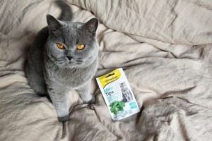 ³����������� ������ ��� ���� GimCat Cat-Mintips � ������� �'����, 40 �