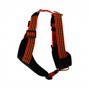 ��������� ̳�� �����-������������ 32-48��/40-50, Lucky Pet