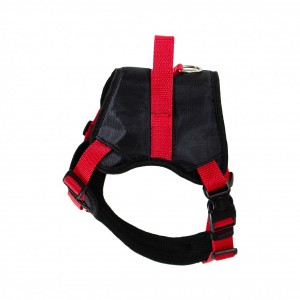 ��������� ���� �����-�������� 53��*63��, Lucky Pet