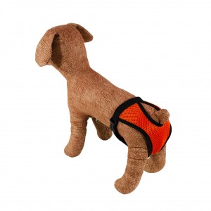 ����� �㳺����� ��� �����, ����� L, ����������, (47��-54��), Lucky Pet
