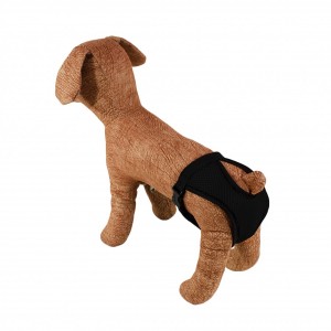 ����� �㳺����� ��� �����, ����� L, �����, (47��-54��), Lucky Pet