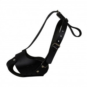 ��������� ������� ��������� ����� (28��/9��) ������, Lucky Pet