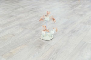 ������� ��� ���� Trixie ���� �� ��������� ���� ������, 15 � 30 ��