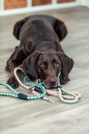 ������� Trixie Cavo ��� ����� S�M 1 � d 12 �� �������/�������