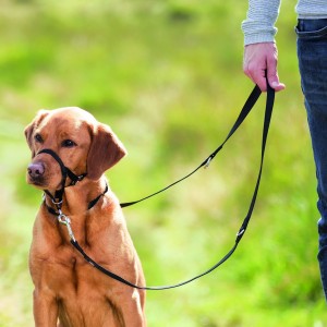 ���� Trixie ����������� ��� ����� M �����