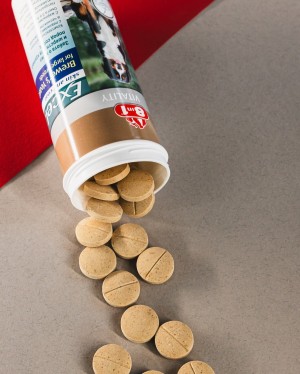 ³ 8in1 Excel Brewers Yeast Large Breed    ,    , 80  (   )