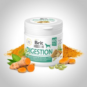 ³����� ��� ����� Brit Vitamins Digestion ��� ��������� 60 ��������