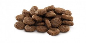 ����� ���� Brit Premium Dog Junior L ��� ������� �� ������ ������� ����, � ������, 15 ��