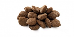  Brit Premium Dog Sensitive Lamb     ,  , 1 