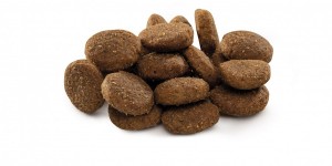 ����� ���� Brit Premium Dog Junior XL ��� ������� �� ������ ���������� ����, � ������, 15 ��