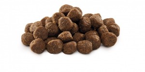 ����� ���� Brit Premium Dog Junior M ��� ������� �� ������ �������� ����, � ������, 1 ��