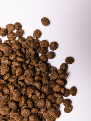 ����� ���� Savory Small ��� ����� ����� ����, � ����� ����� �� ��������, 8 ��