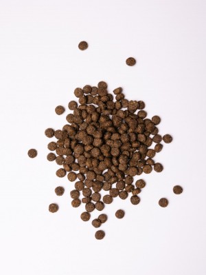   Savory Medium    ,     , 12 