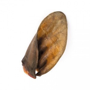 ���������� ������ ������ Priroda ��� ����� ���� ������� ������ 1 ��