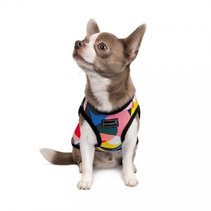 �������� Pet Fashion �Cool� ��� �����, ����� XS, � �������