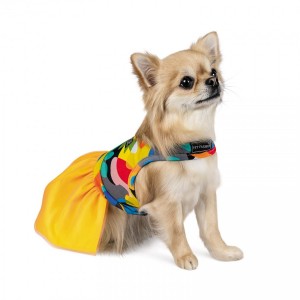 ����� Pet Fashion �Sun� ��� �����, ����� M, �����