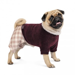 ������ Pet Fashion �Spell� ��� �����, ����� S, ��������