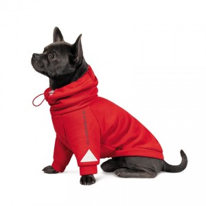 ��� Pet Fashion �Snoodie� ��� �����, ����� S, ��������